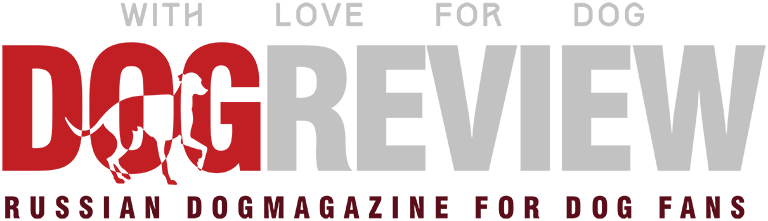 Dog Review