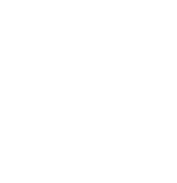 Приюты